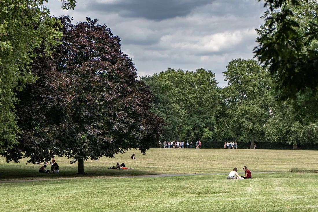 Große Parkwiese mit Bäumen in der Stadt