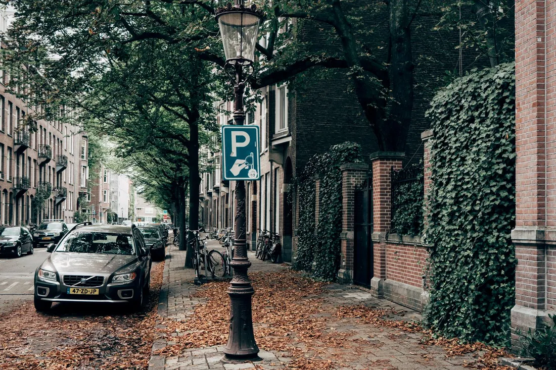 Wohnstraße mit Bäumen und durchgehend parkenden Autos